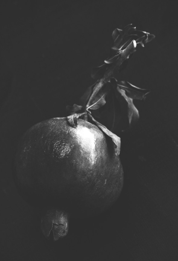pomegranate b&w
