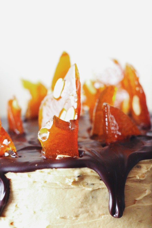 chocolate peanut butter crunch cake