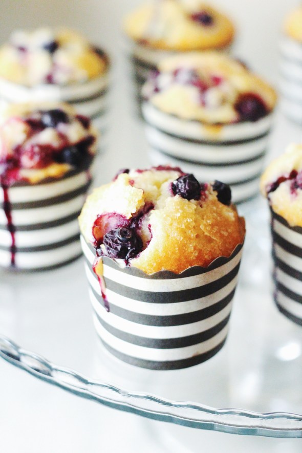 Blueberry Muffins | Retrolillies