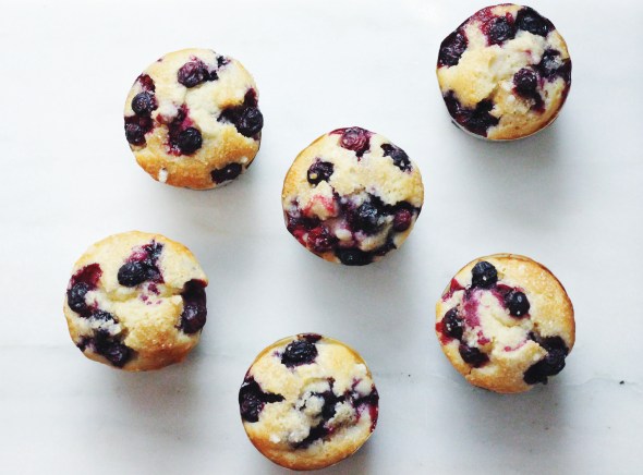buttermilk blueberry muffins