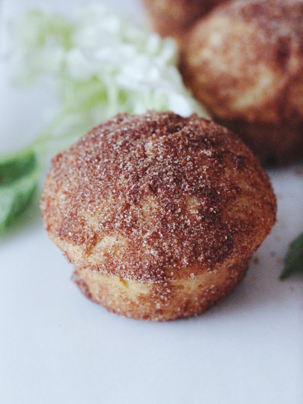 Rhubarb, Cinnamon & Lavender Breakfast Puffs