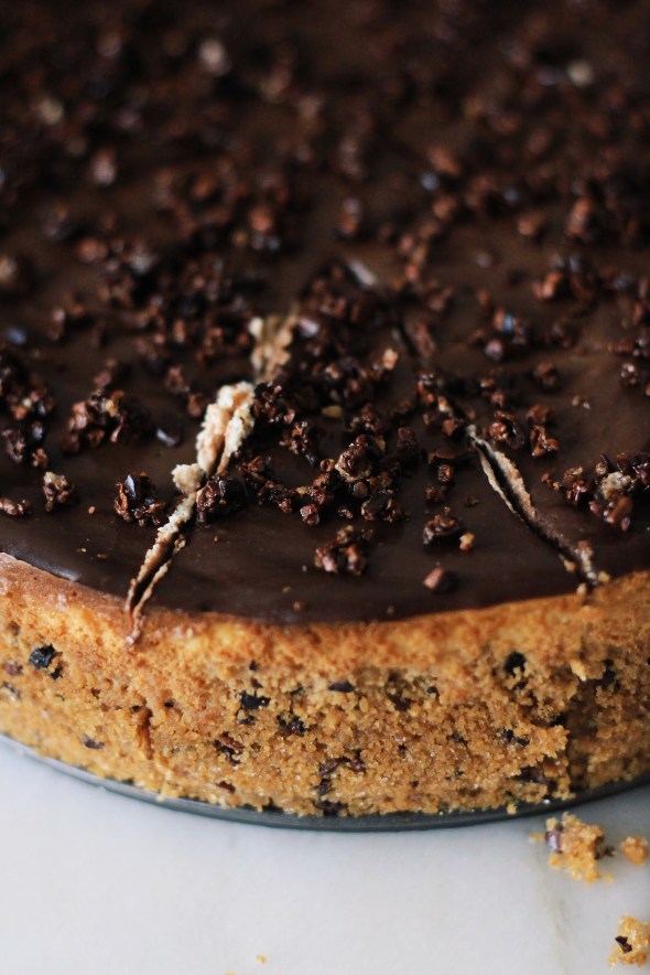 Cacao Nib Frangelico Cheesecake