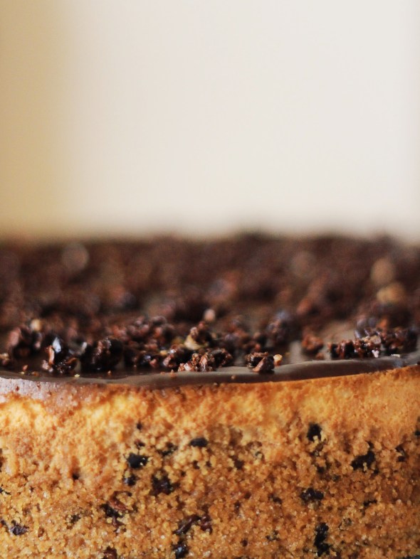 Cacao Nib Frangelico Cheesecake