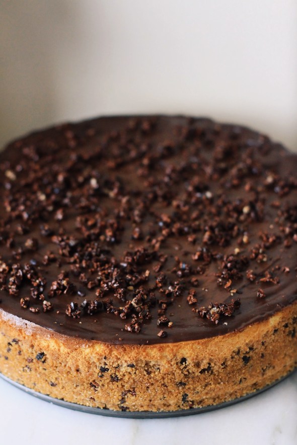 Cacao Nib Frangelico Cheesecake