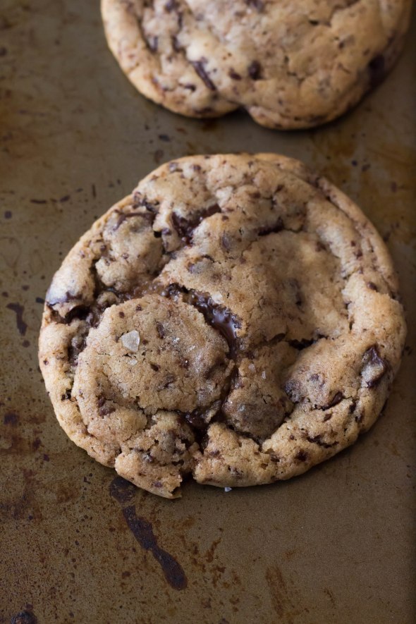 The Great Cookie Off