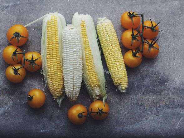sweet corn and tomatoes 