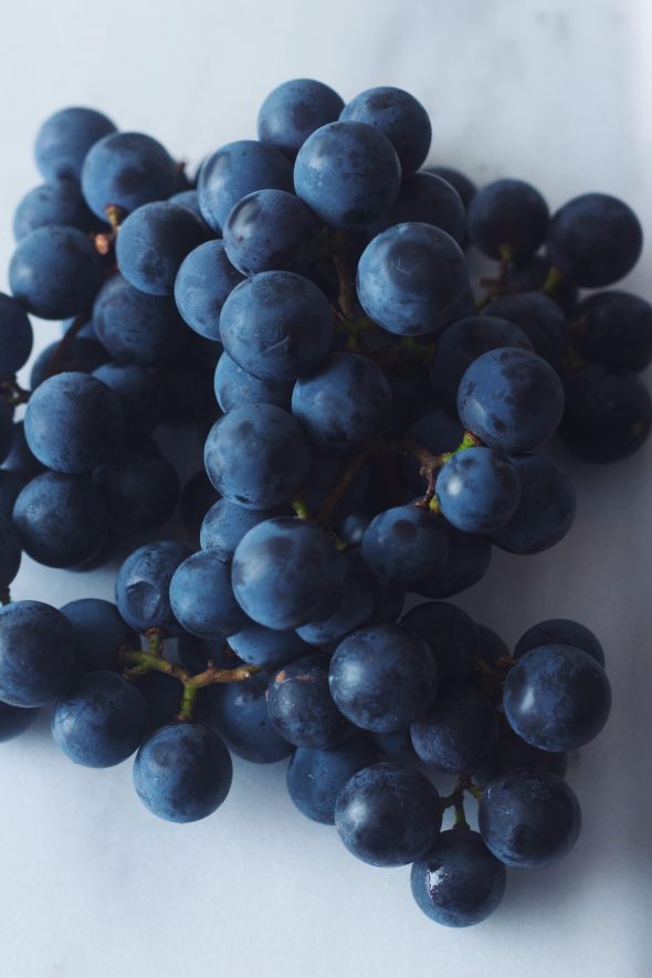 concord grapes