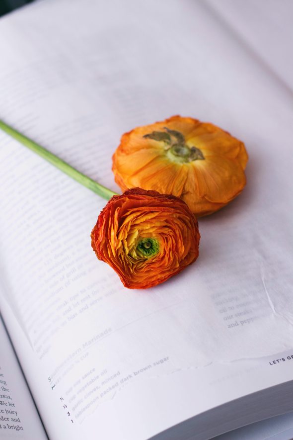 pressed ranunculus