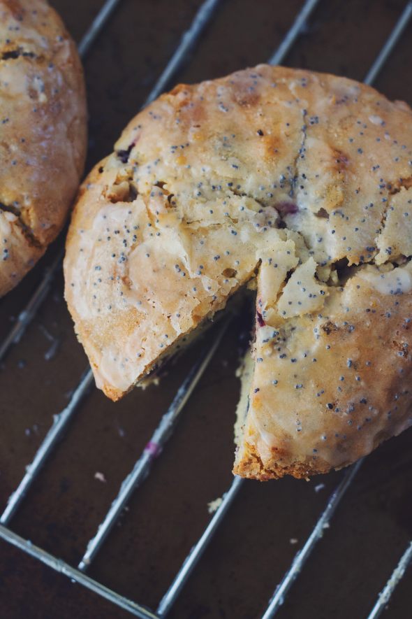Lemon Glazed Blueberry Poppyseed Cakes