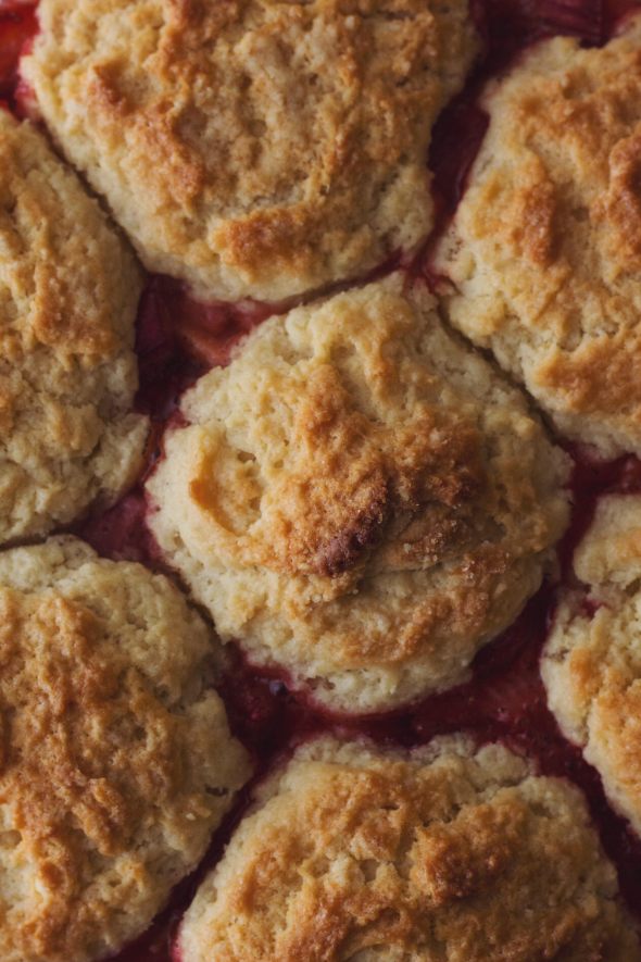 Strawberry Rhubarb Cobbler