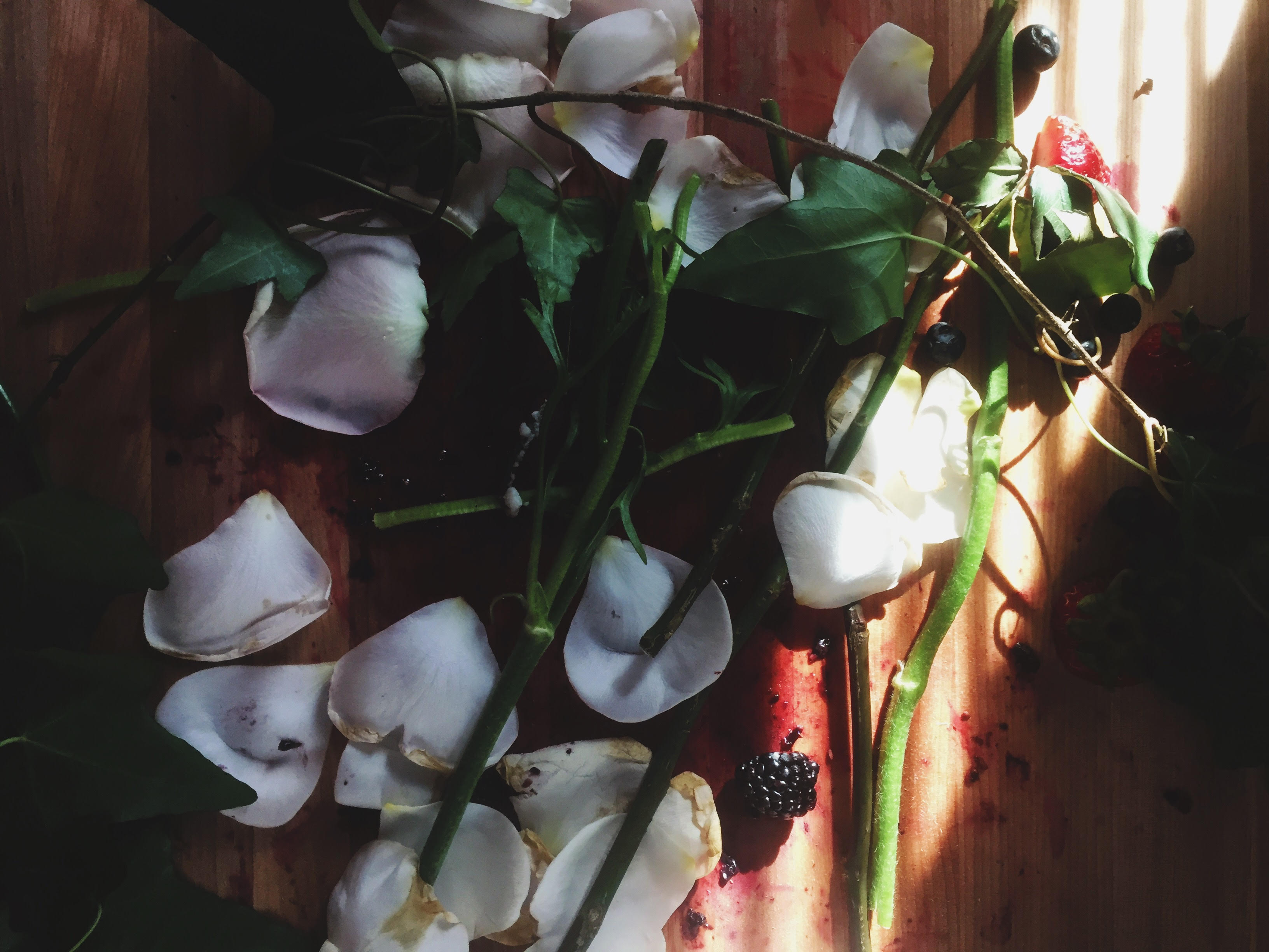 Berries and Cream Sponge Layer Cake