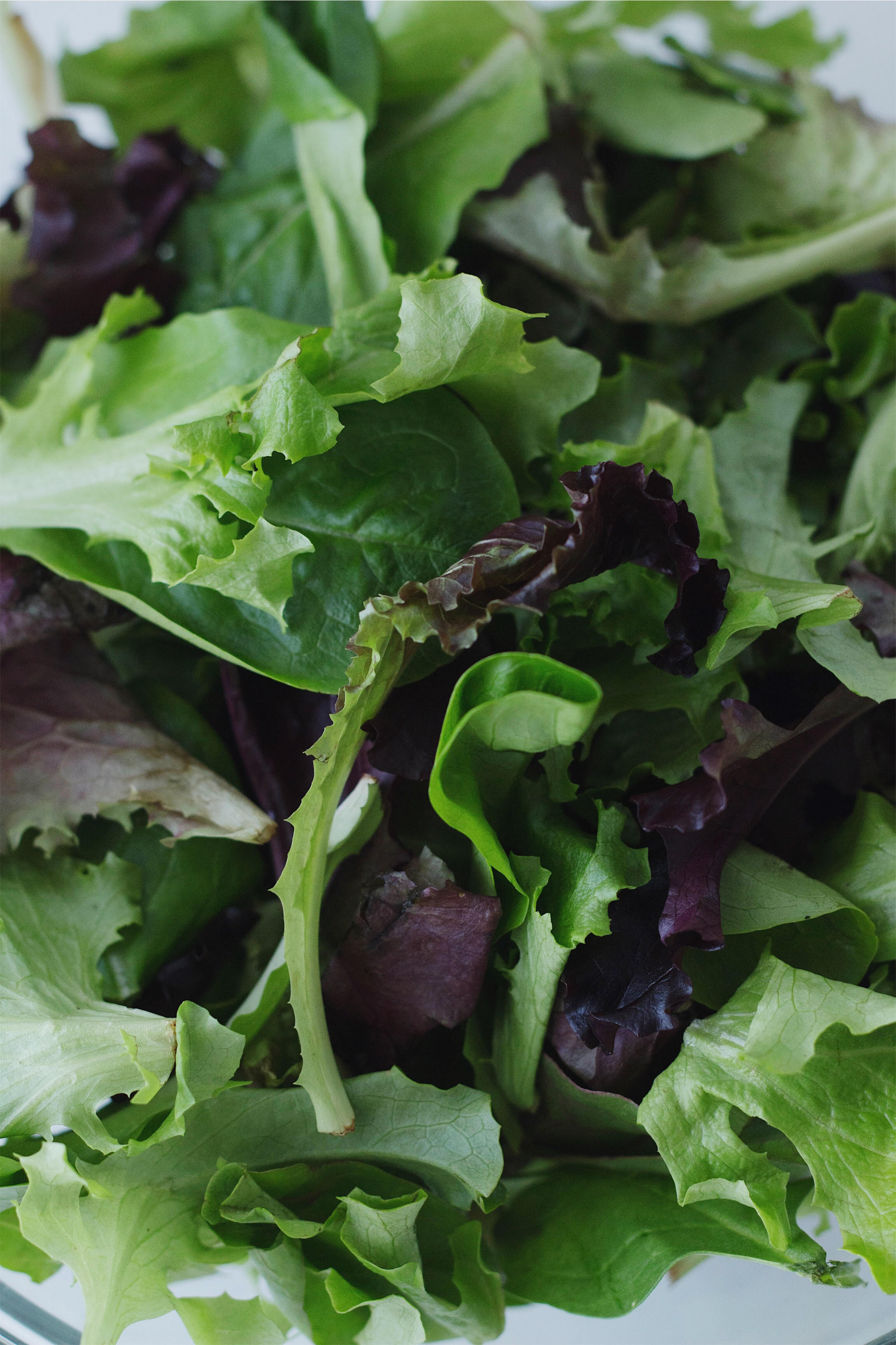 Greens with Grapefruit, Olives and Parmesan